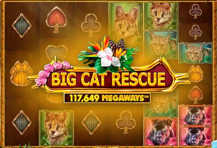 Secure Primebetz Casino app download for mobile and desktop gaming.