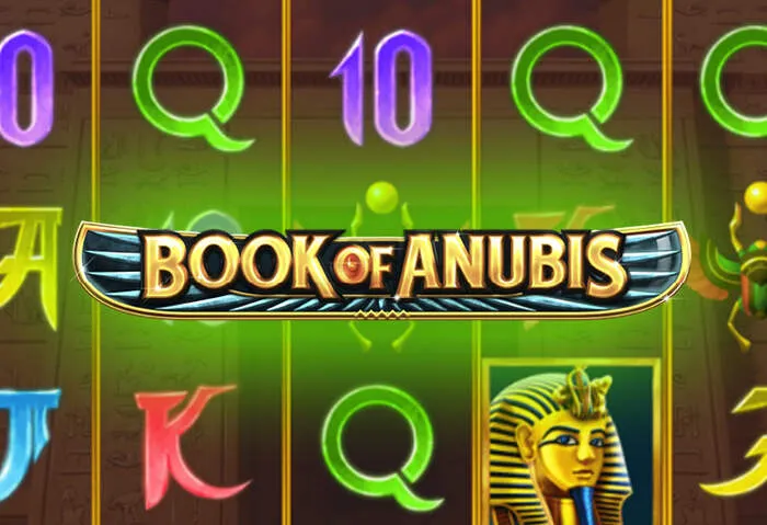 Immersive live casino experience with real dealers and an exclusive welcome bonus for new players.